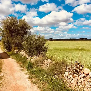 https://arthouse-campos.balearic-islands.net