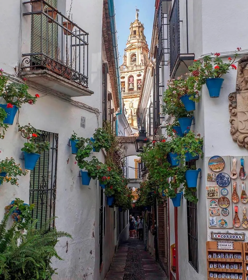 Monteras Cordoba Centro Apartment