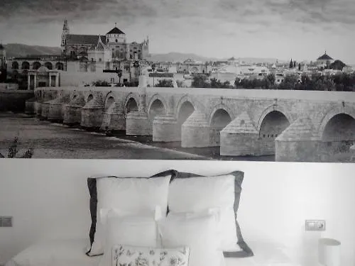 Monteras Cordoba Centro Apartment Spain